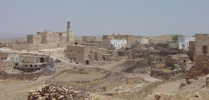 AynWardo